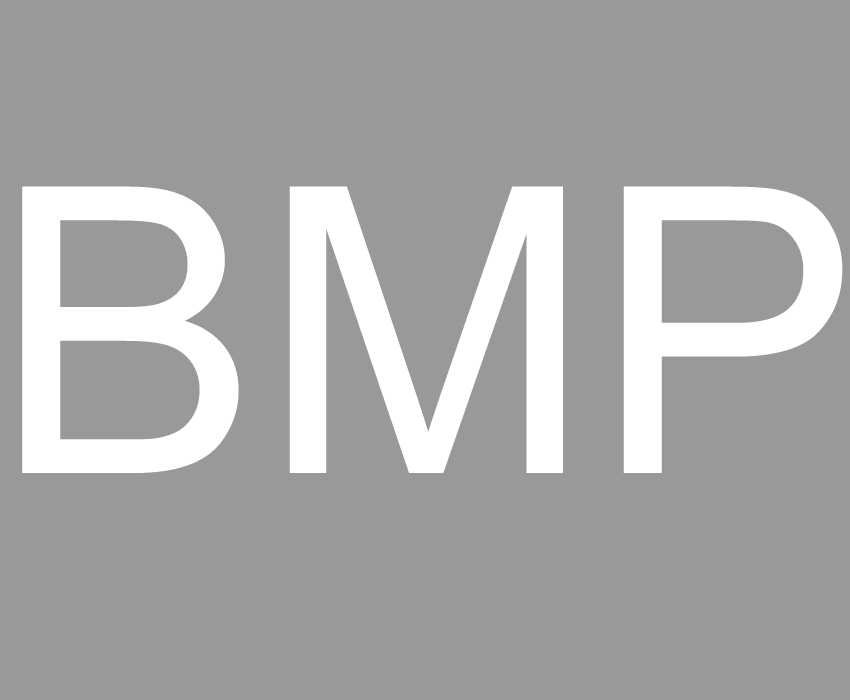 BMPテスト